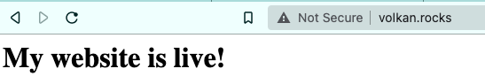 Browser showing the website is live and running at custom domain