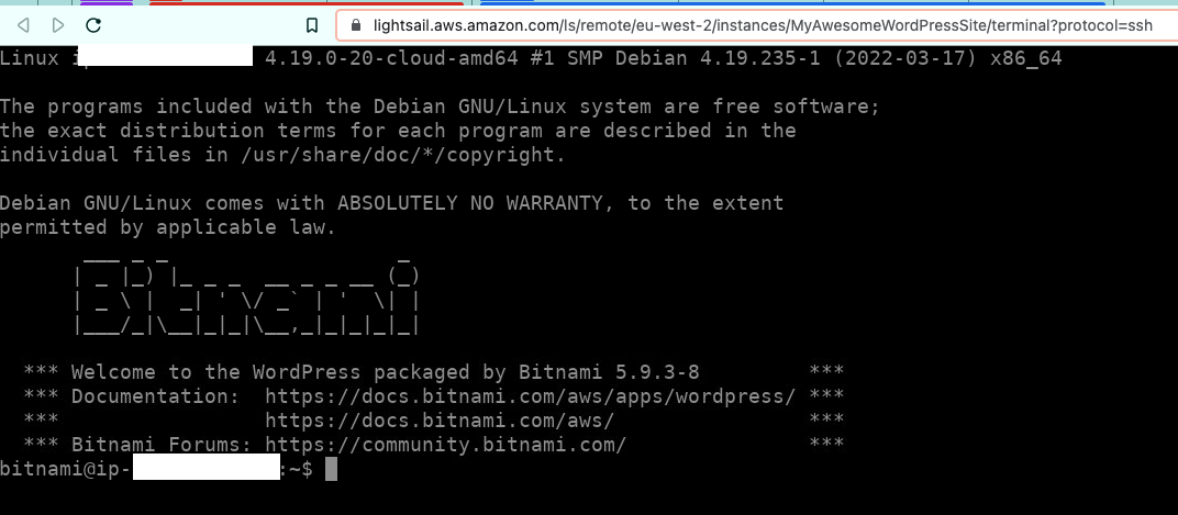 SSH terminal